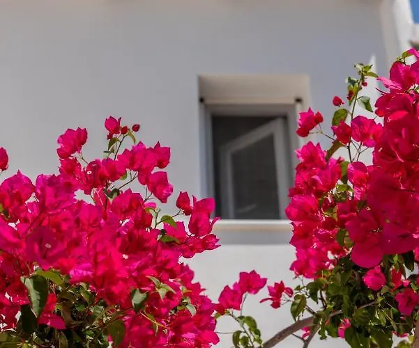 Bed & Breakfast La Casa Di Dolly Galanado